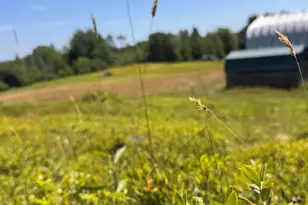 93 Stagecoach Rd, East Machias, ME 04630 - Photo 89