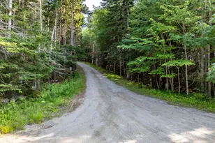 93 Stagecoach Rd, East Machias, ME 04630 - Photo 153