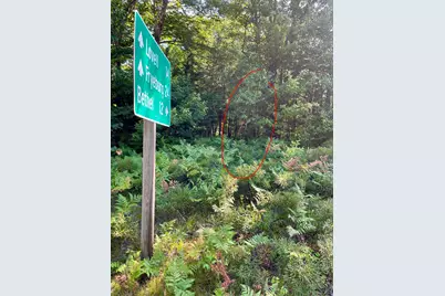Lot #0 Birch View Drive, Albany, ME 04217 - Photo 9