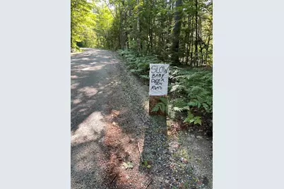 Lot #0 Birch View Drive, Albany, ME 04217 - Photo 7
