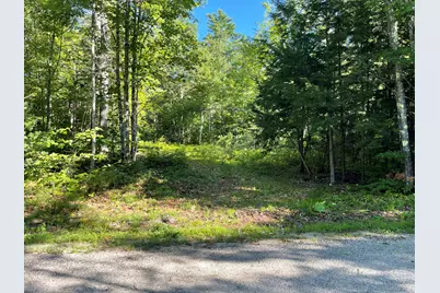 Lot #0 Birch View Drive, Albany, ME 04217 - Photo 1