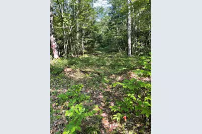 Lot #0 Birch View Drive, Albany, ME 04217 - Photo 3