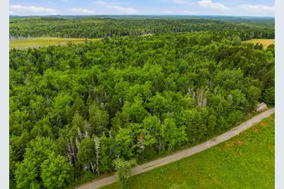 Lot 24B Ridge Road, Whiting, ME 04691 - Photo 7