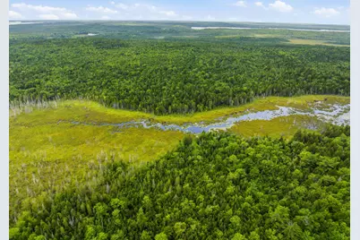 Lot 24B Ridge Road, Whiting, ME 04691 - Photo 3