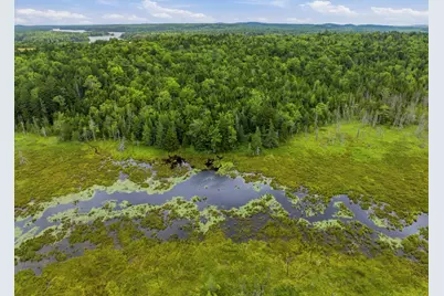 Lot 24B Ridge Road, Whiting, ME 04691 - Photo 5
