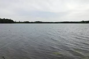 0 Corliss Point Rd, Big Lake Twp, ME 04668 - Photo 33