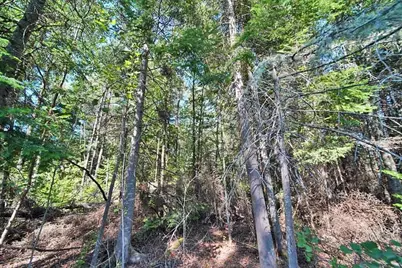 62 Hersom Road, Easton, ME 04740 - Photo 19
