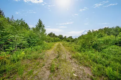 M002L035 Route 191(Cutler Rd) Road, Machiasport, ME 04655 - Photo 5