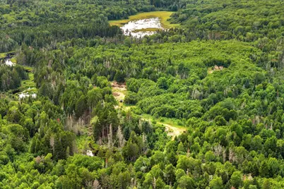 M002L035 Route 191(Cutler Rd) Road, Machiasport, ME 04655 - Photo 13