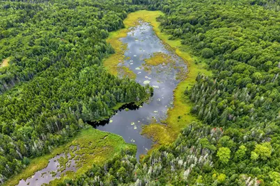 M002L035 Route 191(Cutler Rd) Road, Machiasport, ME 04655 - Photo 21
