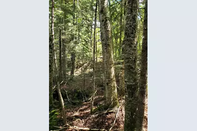M002L035 Route 191(Cutler Rd) Road, Machiasport, ME 04655 - Photo 35