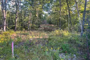 0 Flagg Mill Rd, Naples, ME 04055 - Photo 1