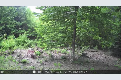 928 Main Street, Wayne, ME 04284 - Photo 61