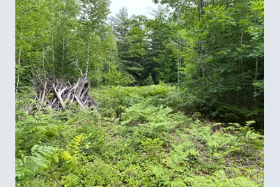 M223, L16-4, Poplar Lane, Hancock, ME 04640 - Photo 7