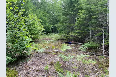 M223, L16-4, Poplar Lane, Hancock, ME 04640 - Photo 9