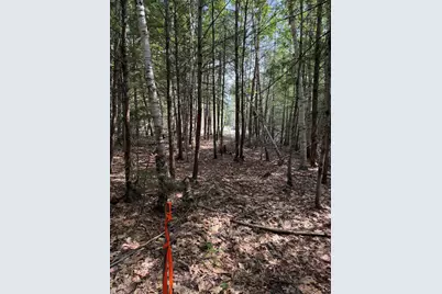 Tbd Field View Road, Fryeburg, ME 04037 - Photo 11