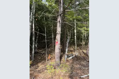 Tbd Field View Road, Fryeburg, ME 04037 - Photo 7