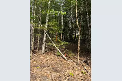 Tbd Field View Road, Fryeburg, ME 04037 - Photo 5