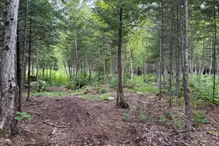 1159 Woodville Rd, Woodville, ME 04457 - Photo 35