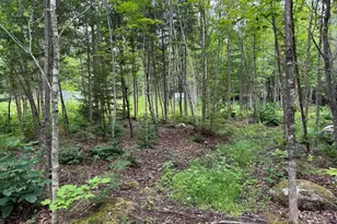 1159 Woodville Rd, Woodville, ME 04457 - Photo 39