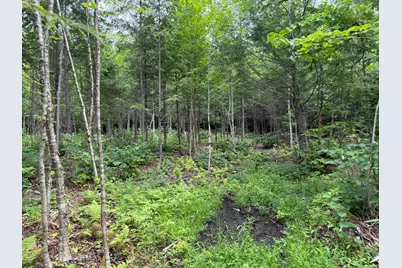 1159 Woodville Road, Woodville, ME 04457 - Photo 37