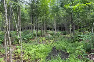 1159 Woodville Rd, Woodville, ME 04457 - Photo 37