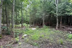 1159 Woodville Rd, Woodville, ME 04457 - Photo 29