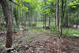 1159 Woodville Rd, Woodville, ME 04457 - Photo 31