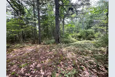 Lot 5 Will Butler Lane, Bremen, ME 04551 - Photo 9