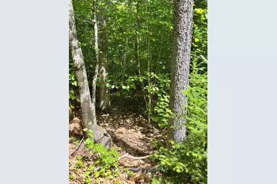 Lot 5 Will Butler Lane, Bremen, ME 04551 - Photo 3