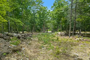 Lot 5-6 A Libby Rd, Newfield, ME 04095 - Photo 1