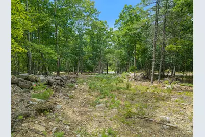 Lot 5-6 B Libby Road, Newfield, ME 04095 - Photo 5
