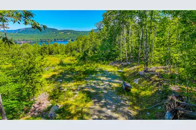 0 Old Whitney Road, Harrison, ME 04040 - Photo 3