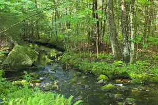 356 Wiley Rd, Norway, ME 04268 - Photo 13