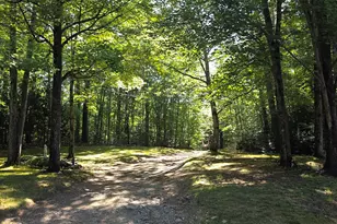 356 Wiley Rd, Norway, ME 04268 - Photo 7