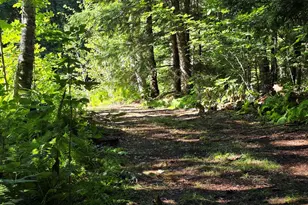356 Wiley Rd, Norway, ME 04268 - Photo 9