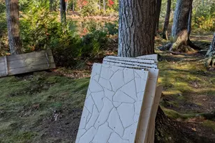 137 Loon Cove, Stetson, ME 04488 - Photo 43