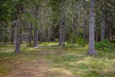 149 Higgins Farm Road, Bar Harbor, ME 04609 - Photo 35