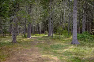 149 Higgins Farm Rd, Bar Harbor, ME 04609 - Photo 35