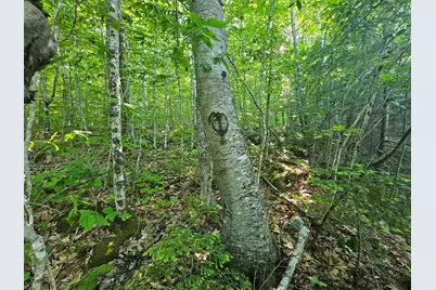 Po-L5,6,9G Great Moose Drive, Hartland, ME 04493 - Photo 3