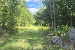 Mox16L125 Off Cemetery Rd, Albany, ME 04217 - Photo 27