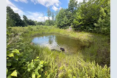 Mox16L125 Off Cemetery Road, Albany, ME 04217 - Photo 25