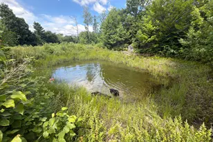 Mox16L125 Off Cemetery Rd, Albany, ME 04217 - Photo 25