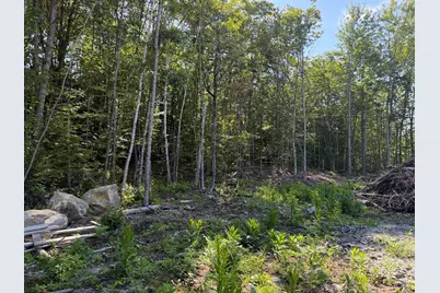 U02A Lot 4 Bird Hill Road, Greenwood, ME 04255 - Photo 11