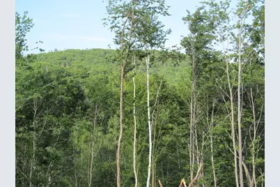 6.6 Hodgdon Road, Buckfield, ME 04220 - Photo 9