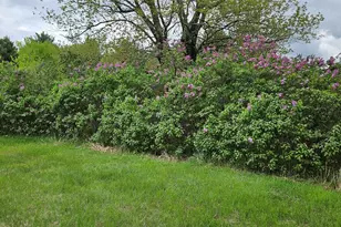 1696 Federal Rd, Livermore, ME 04253 - Photo 47