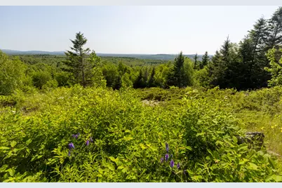 533 Mt Ephraim Road, Searsport, ME 04974 - Photo 55