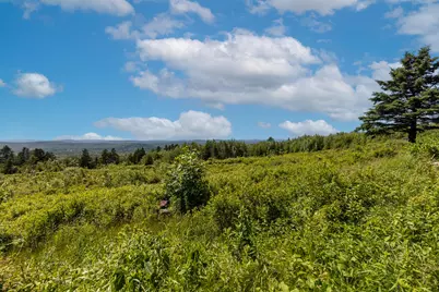 533 Mt Ephraim Road, Searsport, ME 04974 - Photo 41
