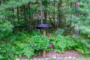 18 Arlington Ct, Gray, ME 04039 - Photo 85