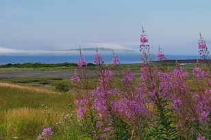 476 S Lubec Rd, Lubec, ME 04652 - Photo 25
